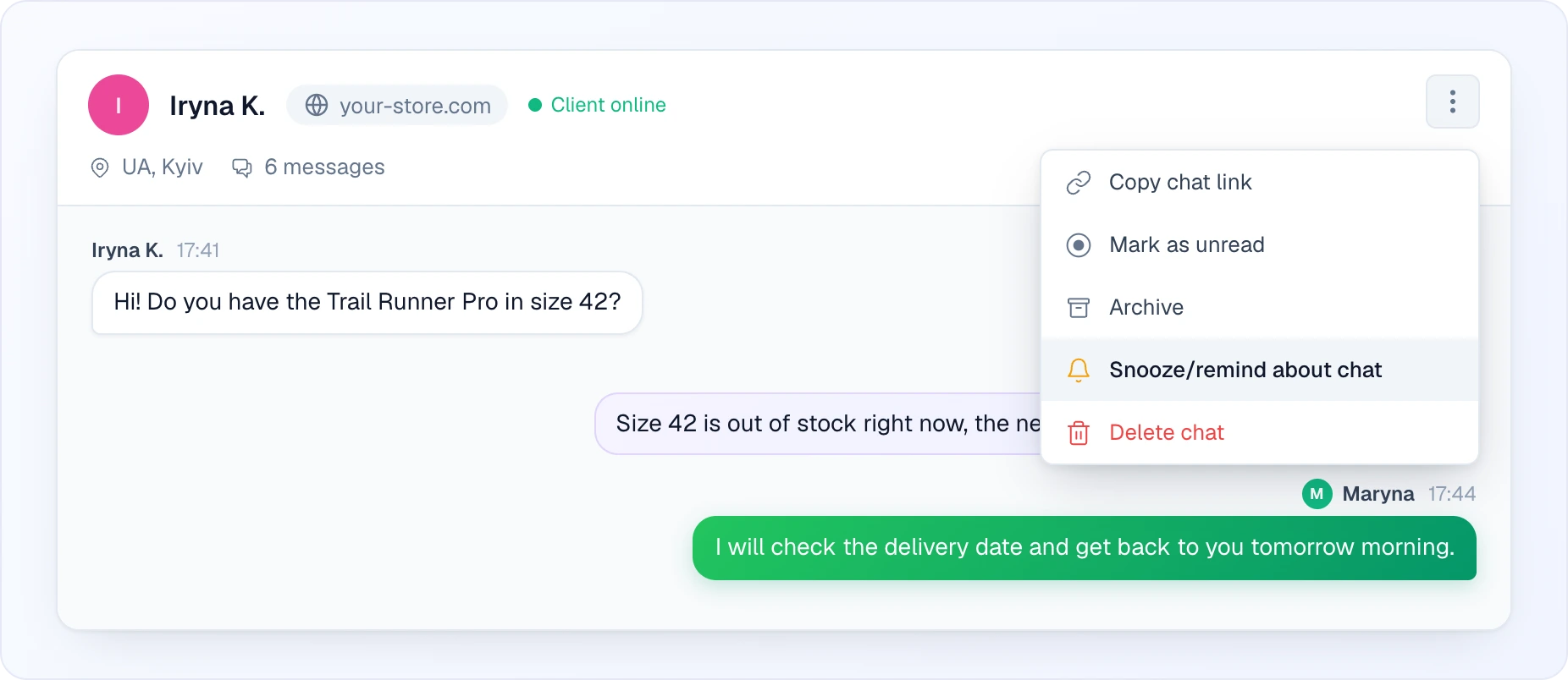 An open chat header with the customer Iryna K. (site your-store.com, "Client online") and the three-dot menu expanded: Copy chat link, Mark as unread, Archive, the highlighted "Snooze/remind about chat" item with a bell icon, and the red Delete chat